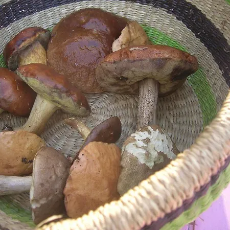 Entre Deux Nos Frühstückspension Hergnies
